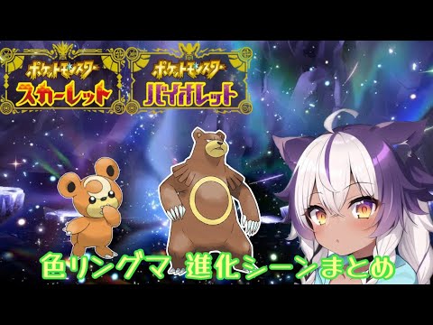 【ポケモンSV】色違いヒメグマ → リングマ【ポケットモンスタースカーレットヴァイオレット】