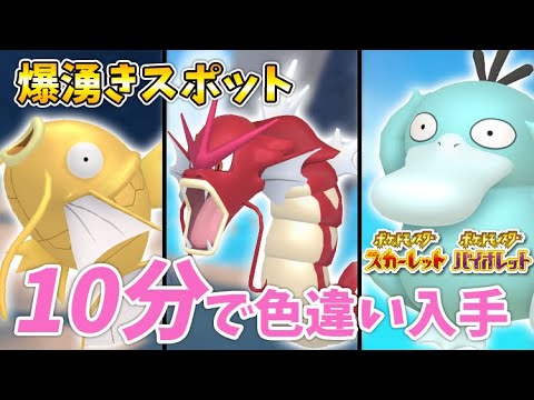 【ポケモンSV】今すぐ手に入る！色違いギャラドス・コダック・コイキングを爆速ゲットする厳選方法！
