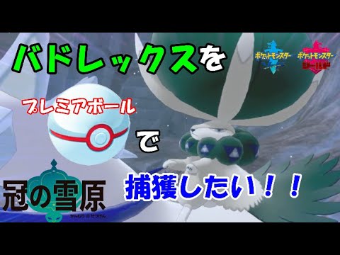 【冠の雪原】バドレックスをプレミアボールで捕獲したい！！【ポケットモンスター剣盾】