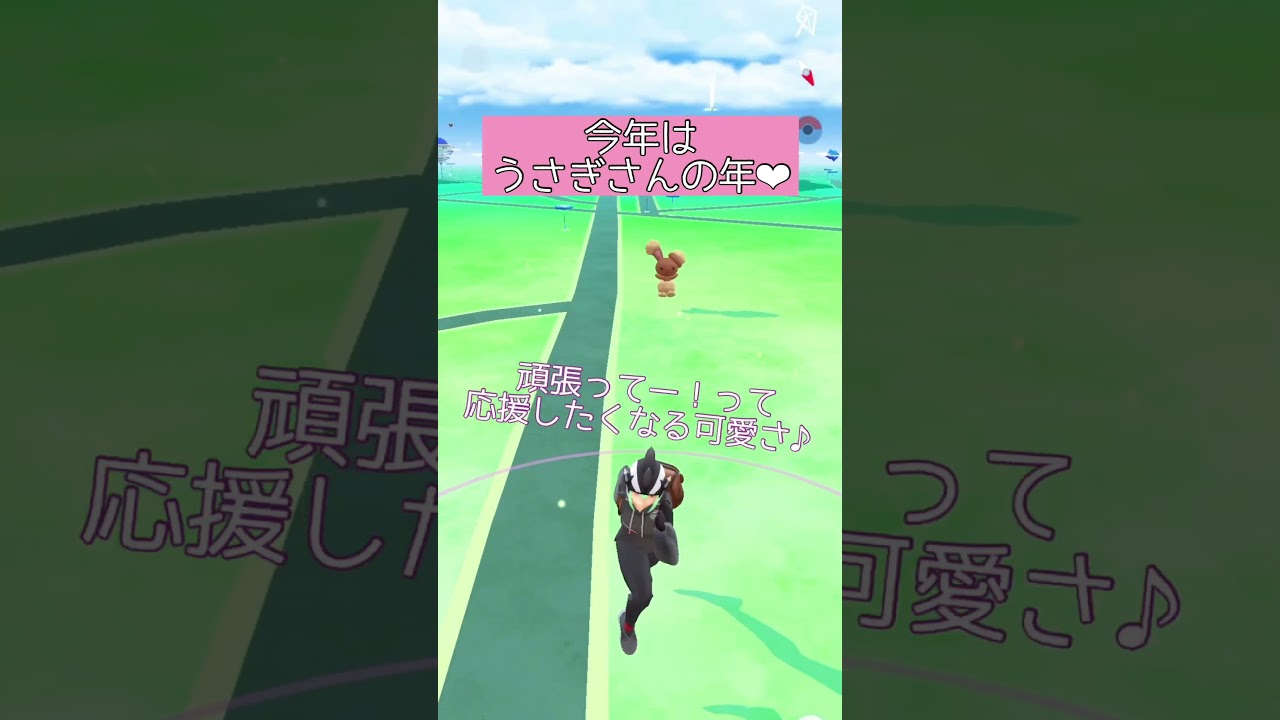 【ポケモンGO】#5 相棒ポケモンの移動する姿が好き♪（ミミロップ・ミミロル）【PokémonGO】 #shorts