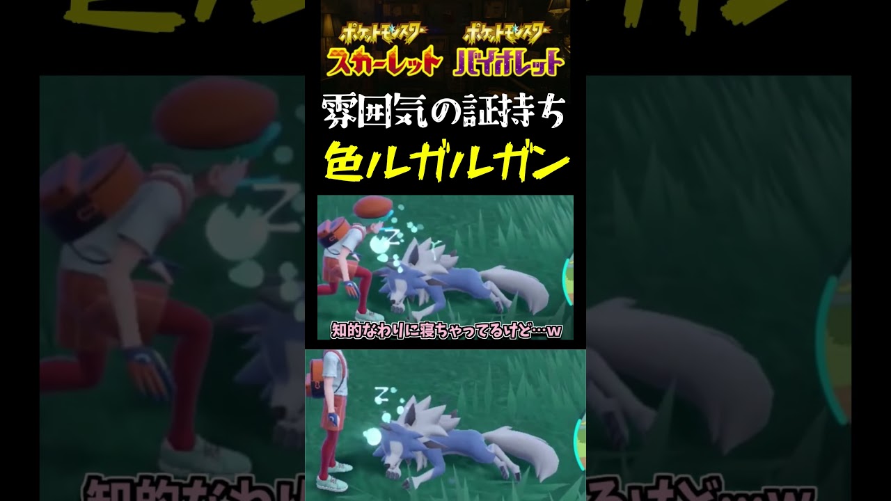 【ポケモンSV】雰囲気系の色証GET!! 配信外で厳選してたら出た色違いまひるルガルガンを紹介!!【スカーレット】【ポケモン】【切り抜き】【色違い厳選】【色違いポケモン】#short