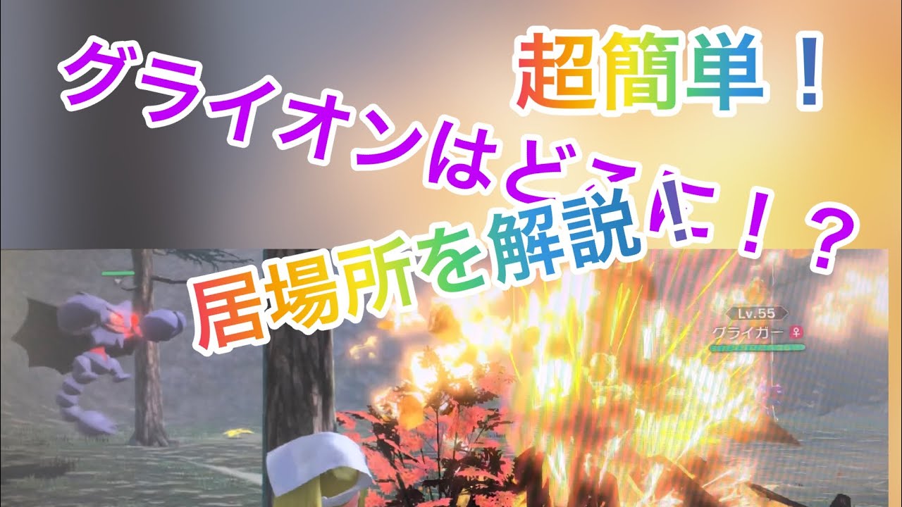 親分グライオン！シンオウ最強の物理受けを捕まえる！！