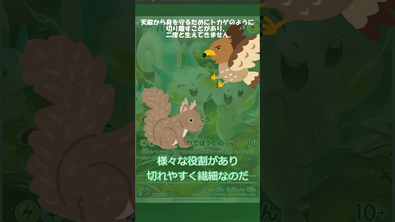 ずんだもんのポケモン元ネタ解説 パチリス#Shorts