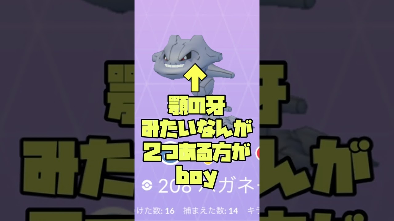 ハガネールのオスメスの見分け方！