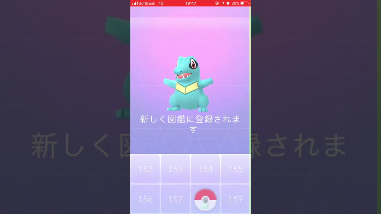 ポケモンGO初ゲット〜ワニノコ