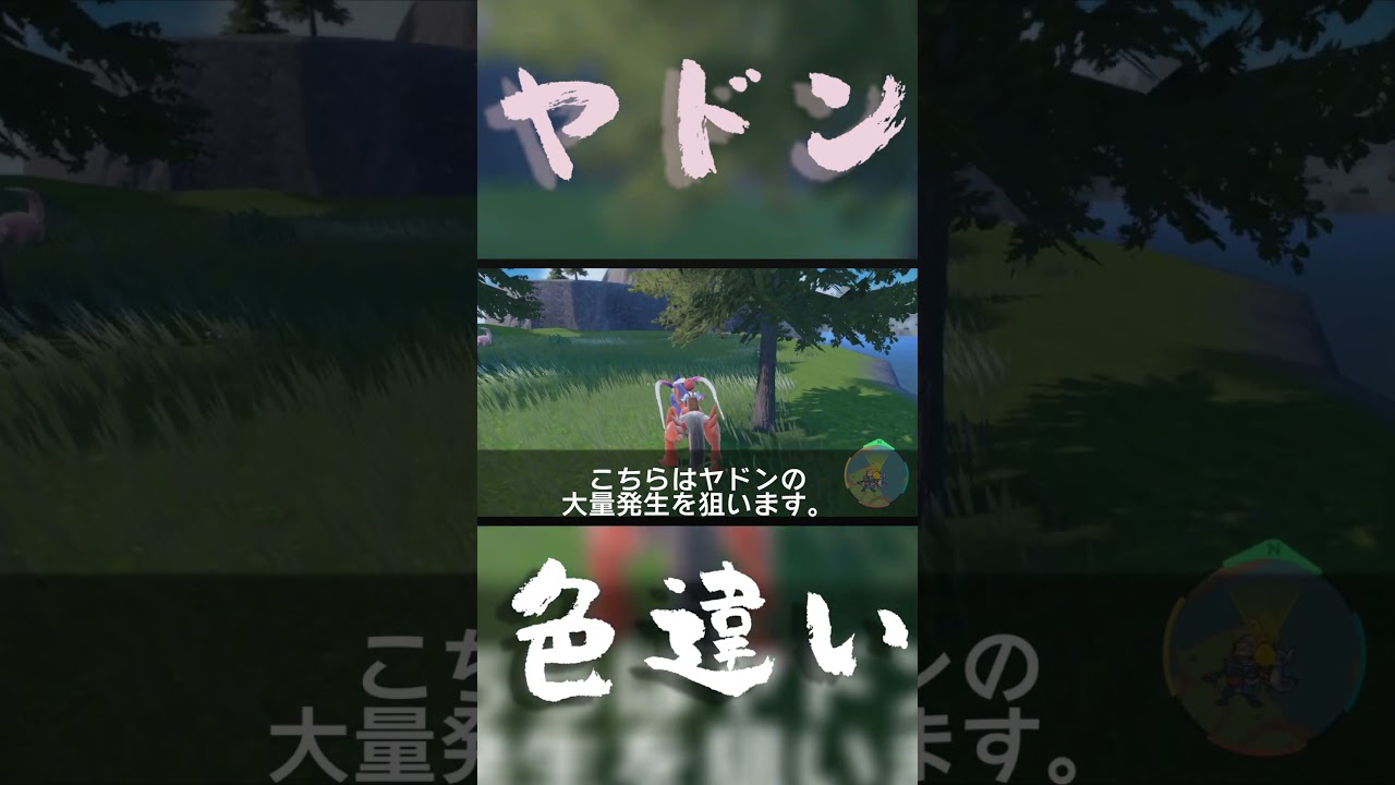 色違いヤドンの見分け方【ポケモンSV】#shorts