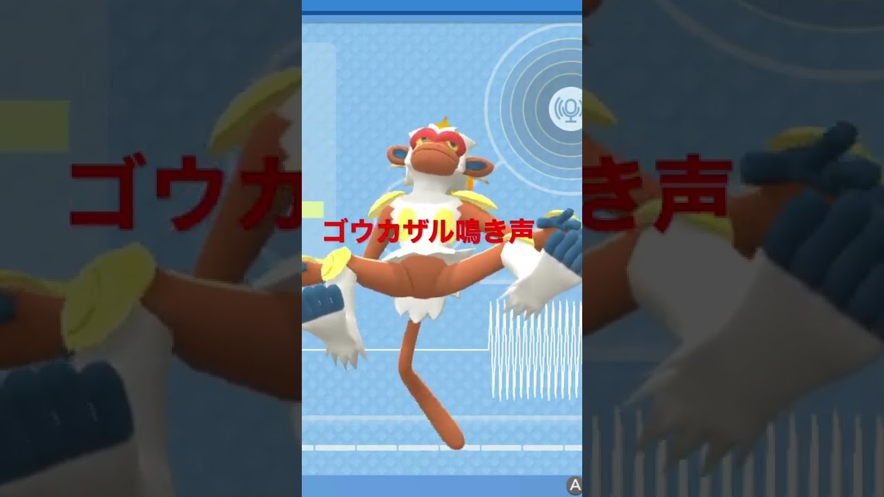 BDSP【シンオウ図鑑NO006】ゴウカザル鳴き声#ポケモン鳴き声 #図鑑コンプ #ブリリアントダイヤモンド #シャイニングパール#ポケモン生態#第四世代鳴き声#Infernape
