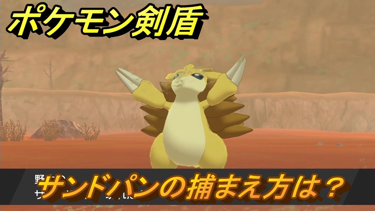 ポケモン剣盾　サンドパンを捕まえる方法！オススメの場所は？天気は？ポケモン図鑑コンプへの道！　最新版【ポケモンソード・シールド】