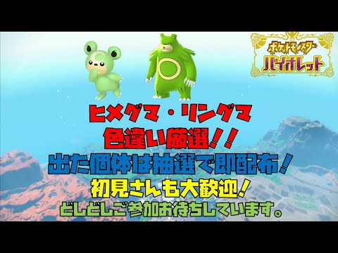ポケモンSV　ヒメグマ・リングマ色違い厳選！　出た個体は抽選にて即配布！！　　初見さん大歓迎！　よかったらご視聴よろしくお願いします
