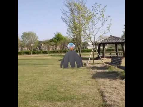 메가가디안 ( Mega Gardevoir ) メガサーナイト ( 沙奈朵 )