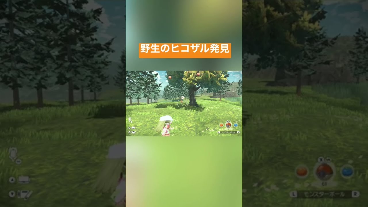 野生のヒコザルを見つけた【ポケモンレジェンド】#ポケモンアルセウス #ポケモン