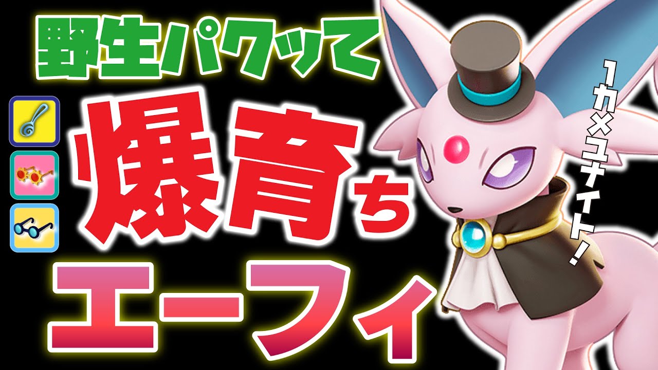 【ポケモンユナイト】僕は爆育ち、君はどうなんだい？Obuyan君