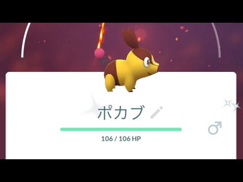 【色違いポカブ初ゲットの瞬間】#shiny #Shorts #pokemongo #色違い　#ポカブ