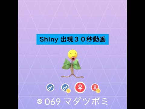 【Pokémon GO】Rarity ”B”＃069 マダツボミ② ☆shiny☆#Shorts