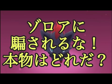 【ポケモンGO】ゾロアに騙されるな！本物はどれだ？#shorts
