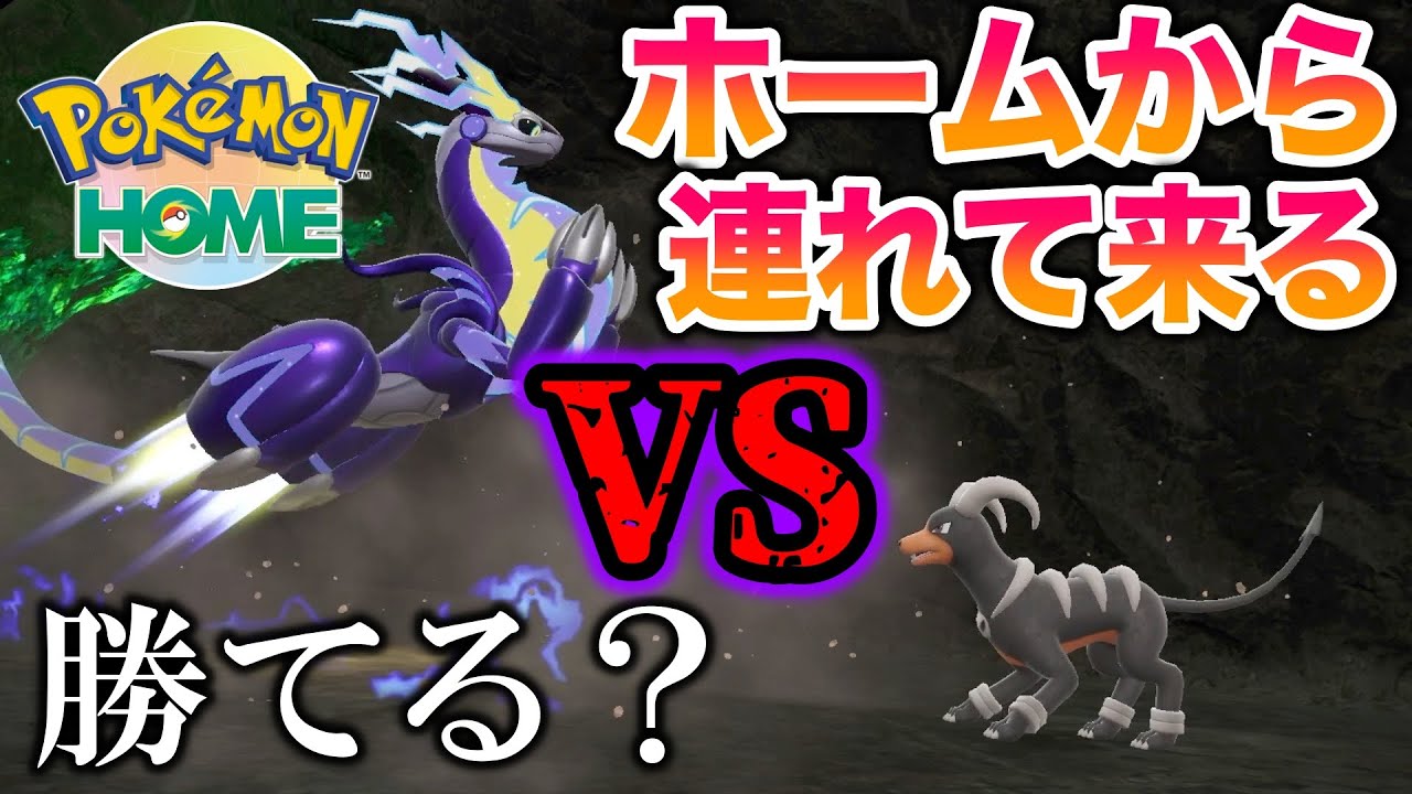 【検証】負けイベのヘルガー戦でホームからミライドン連れて来れば勝てんじゃね？【ポケモンSV/スカバイ】