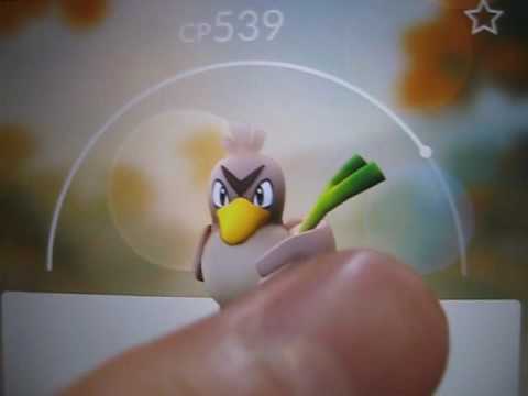 【ポケモンＧＯ】 今更ながらカモネギの反応が可愛いと思った  『Pokémon GO』 kamonegi