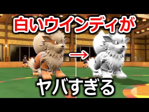 白化した「ウインディ」が強すぎる...【ポケモンSV実況】