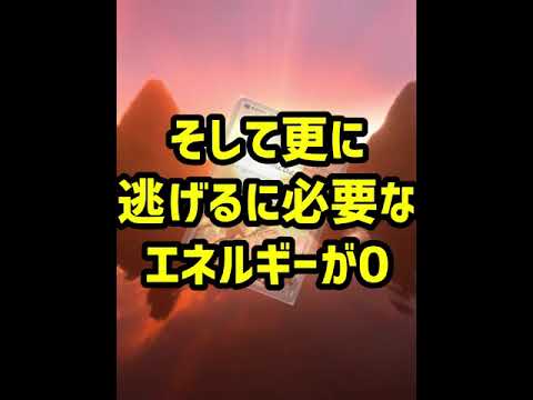 【ポケカ/法律】忙し過ぎるファイアローｗｗｗ #shorts