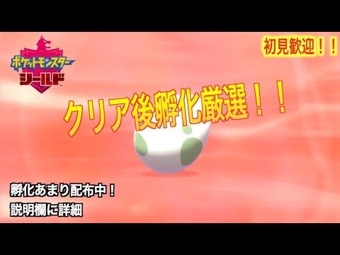 [ポケモン剣盾]孵化厳選！(夢ヒドイデ)孵化あまり交換します！