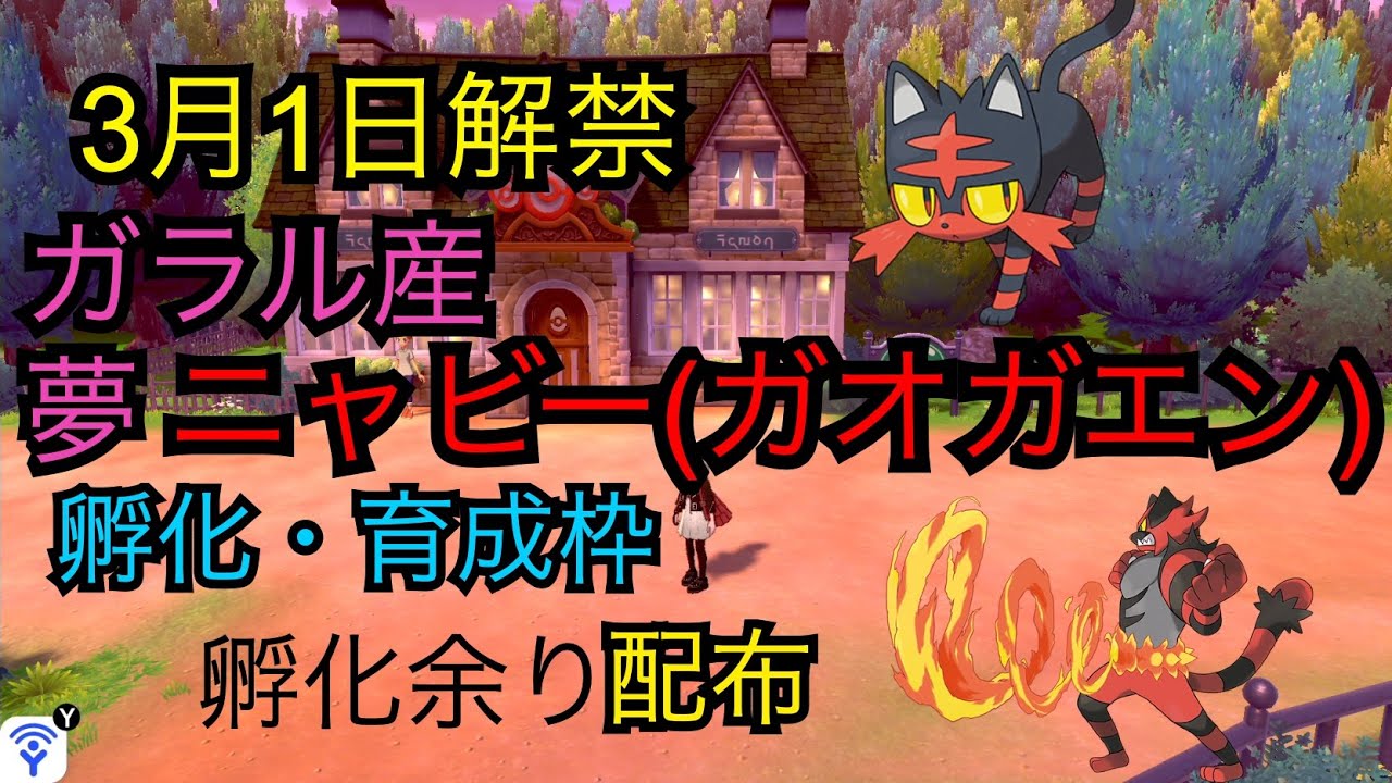 【ポケモン剣盾】最強ポケモン、夢ニャビー（威嚇ガオガエン）つくる