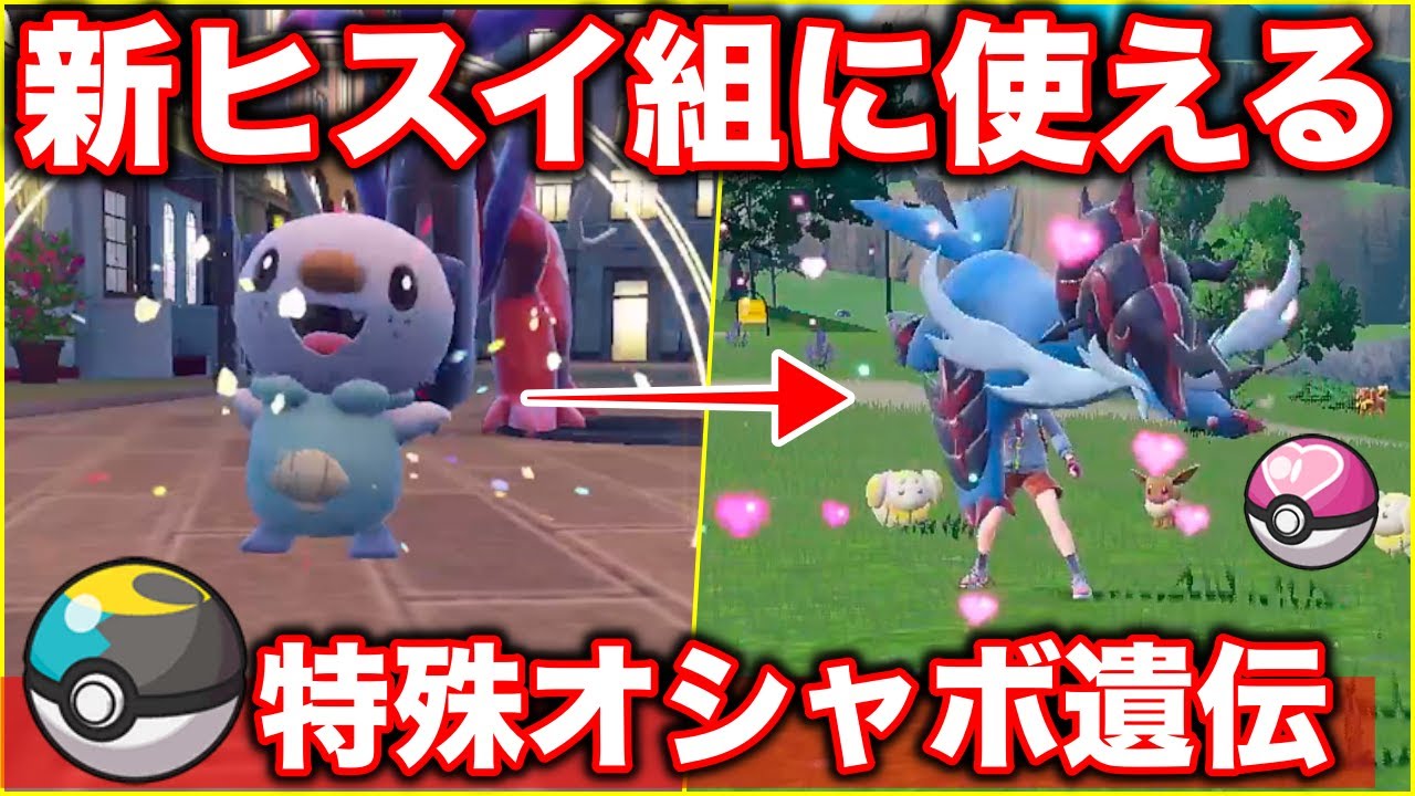 【新ボール遺伝】新ヒスイ組をオシャボ入りにする方法！最終進化のみヒスイの姿のポケモンはボール遺伝できるのか検証！【ポケモンSV】
