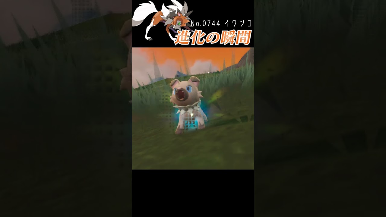 【バイオレット】イワンコ 進化の瞬間 #shorts 【たそがれのすがた】