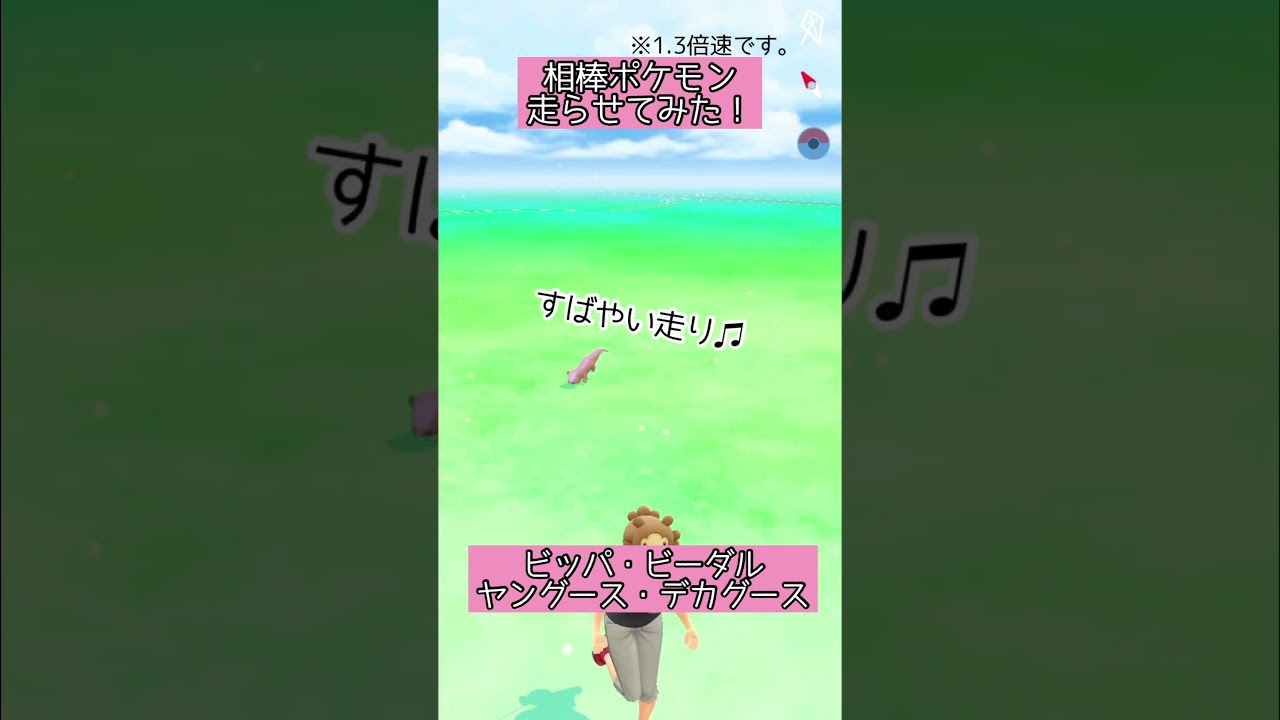 【ポケモンGO】#22 相棒ポケモンの移動する姿が好き♪(ビッパ・ビーダル・ヤングース・デカグース)【PokémonGO】 #shorts