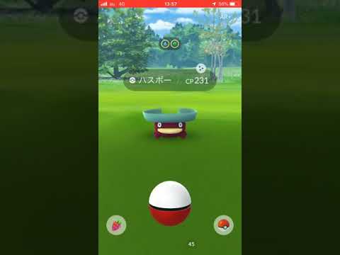 顧客先に向かう途中に色違いハスボーをなんとかとれました。ポケモンGO！