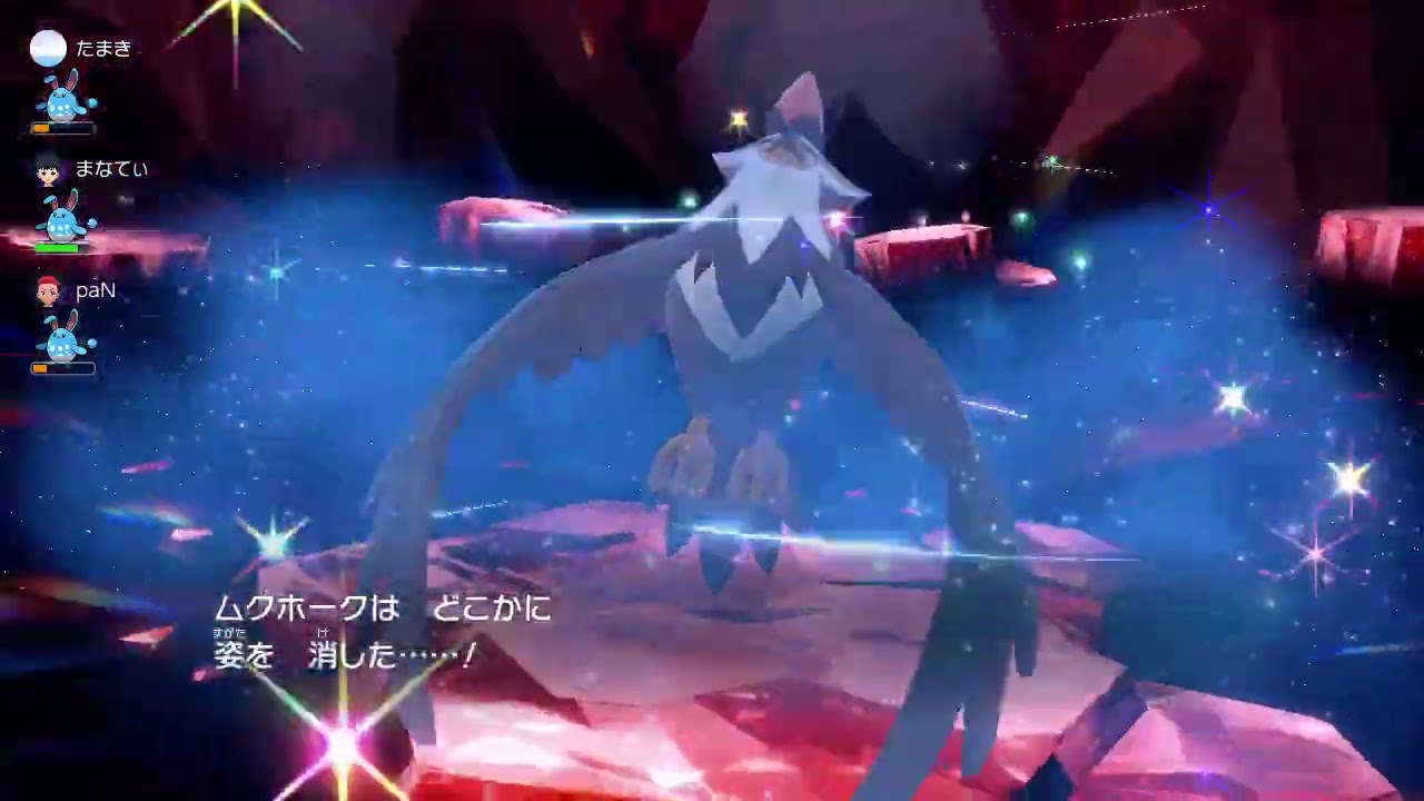 ポケモンSV／星6ムクホークレイド勝利　HB振りオーロンゲ（挑発、壁、冷や水etc.）