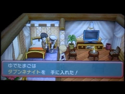 ポケモンオメガルビー メガストーン「タブンネナイト」入手 ハンサム登場 Edwin DuBarrera