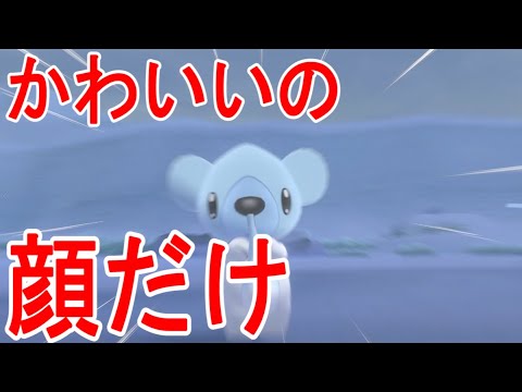 【ポケモンソード】クマシュン顔はかわいいけどデータがｗ　ブサイクポケモン厳選して攻略する＃21