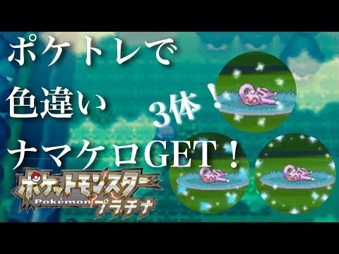 【ポケトレ】色違いナマケロ3匹ゲット！プラチナ shiny Slakoth