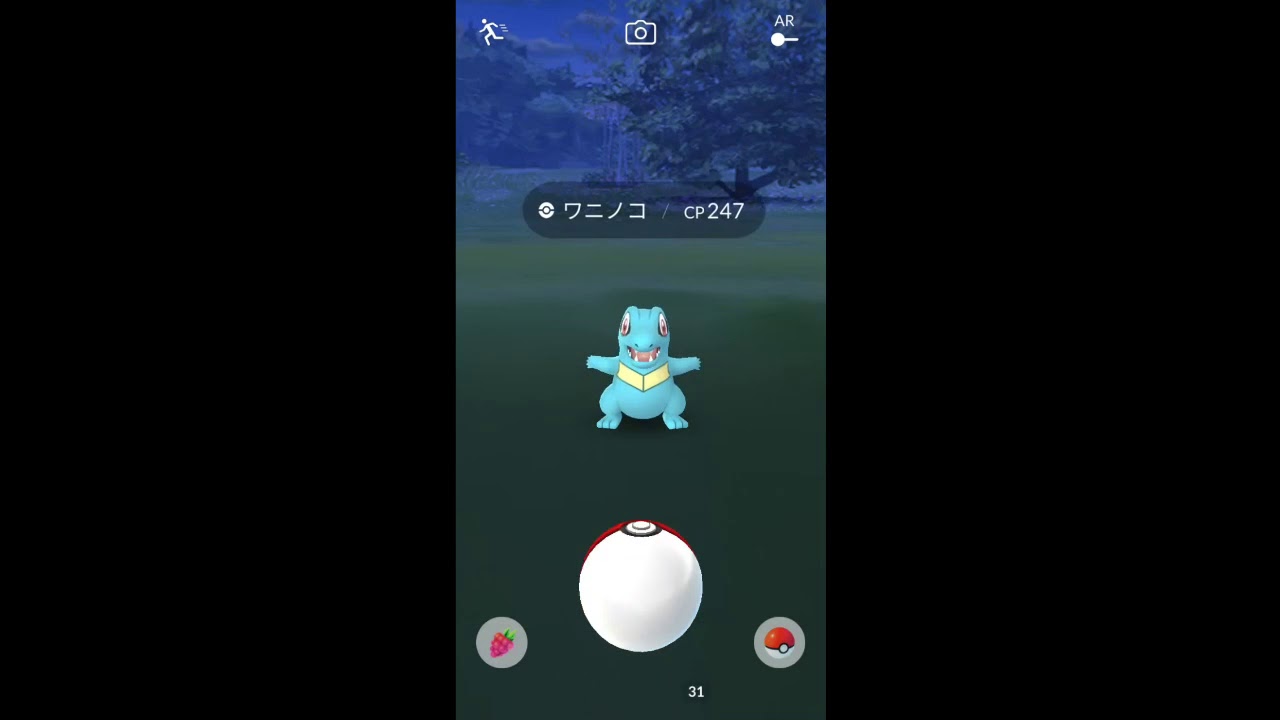 【ポケモンGO】耐えられるか！？「あっ！野生のワニノコがあおってきた！」 #Shorts