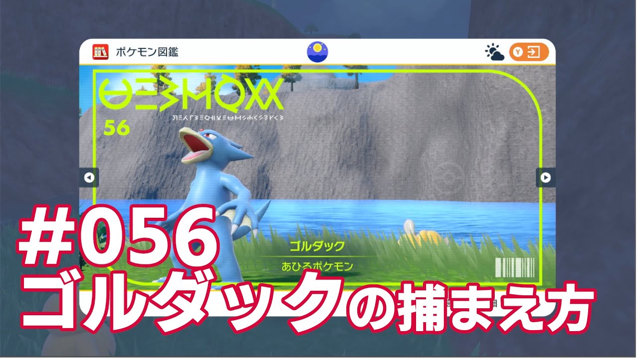 ゴルダックを探している方に見てほしい動画