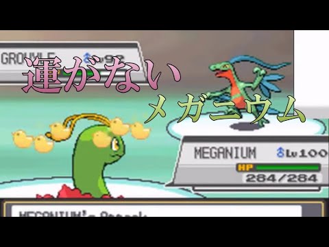 【ポケモンHGSS】ついてないメガニウム【全ポケモンガチで育成バトルステージ・メガニウム】切り抜き