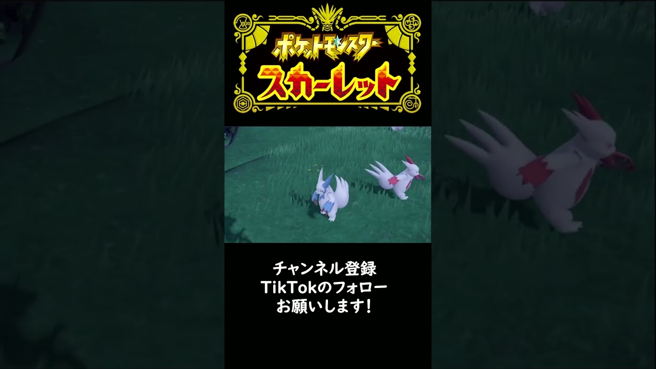 色違いザングース最高すぎないか？　【ポケモンSV】