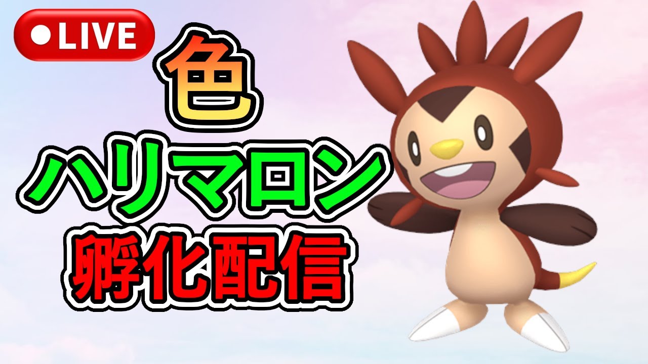 【ポケモンSV】色違いハリマロン孵化したので人柱にします
