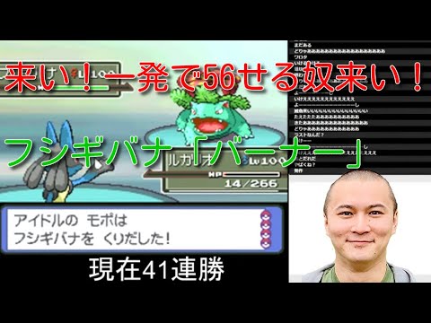 【金ネジキ】度重なるチャンスが巡ってきたもののフシギバナに破壊されてしまう試合