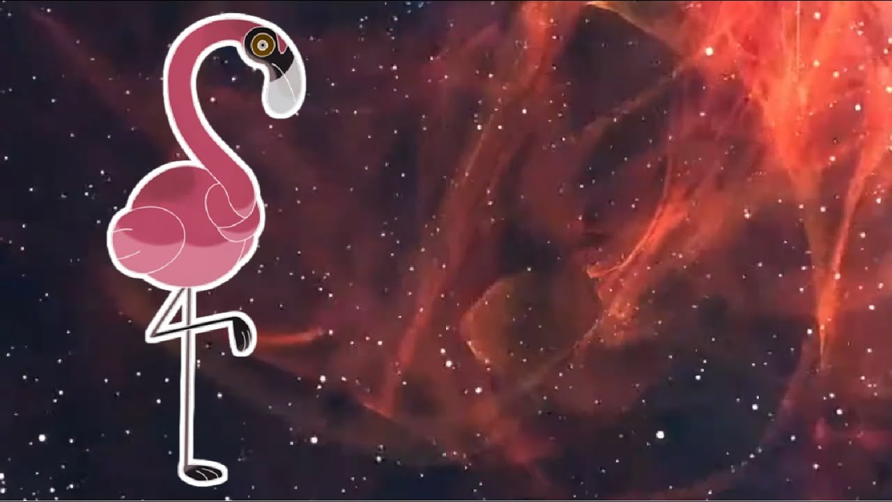 全てを理解したカラミンゴ【ポケットモンスタースカーレット・バイオレット・SV】