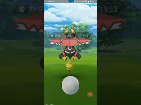 【ポケGO 2023】100：2人レイド「カプ・ブルル」タネマシンガン・メガホーン：[03:10]100点：全技終了