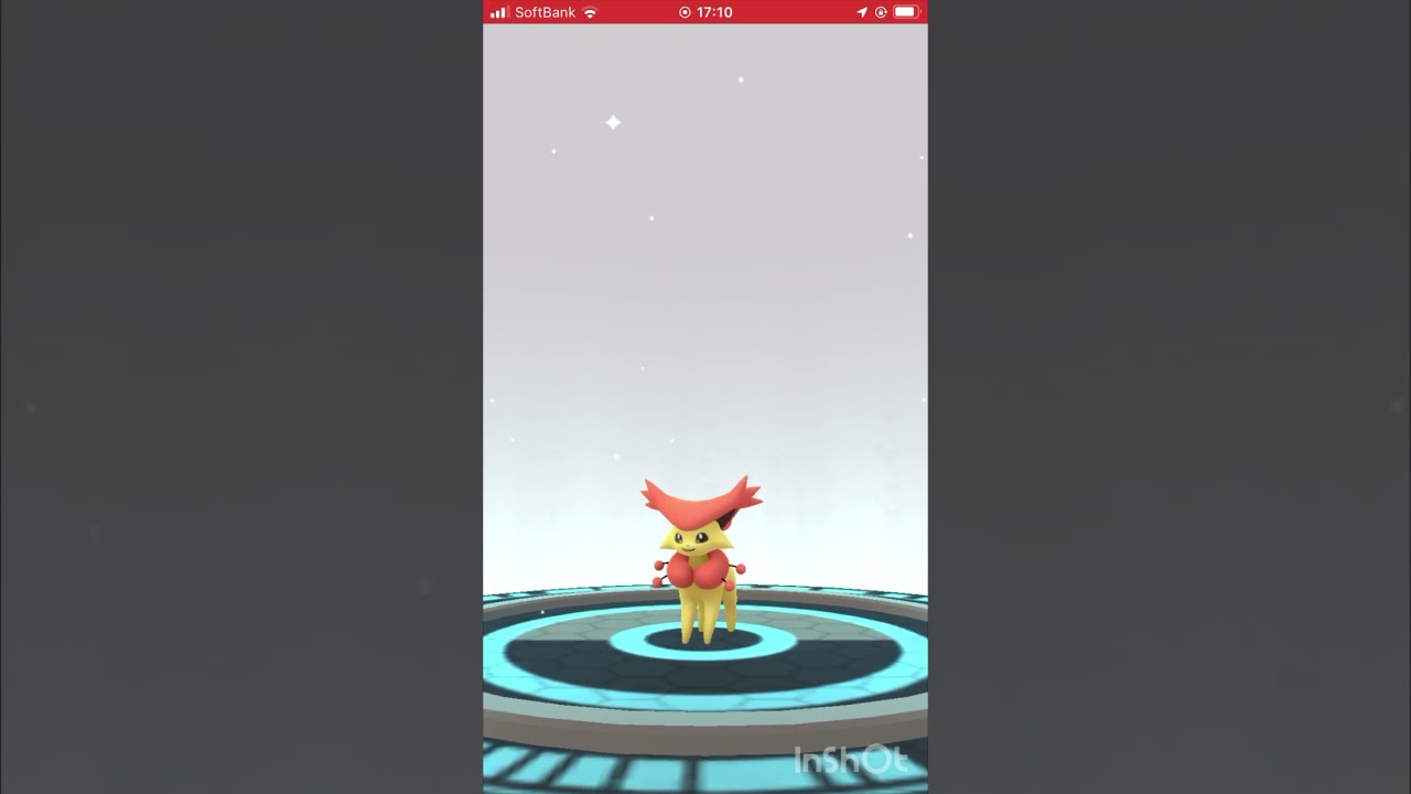 色違いのエネコをエネコロロに進化させてみた！ #ポケモンgo #pokemongo #色違い #shorts