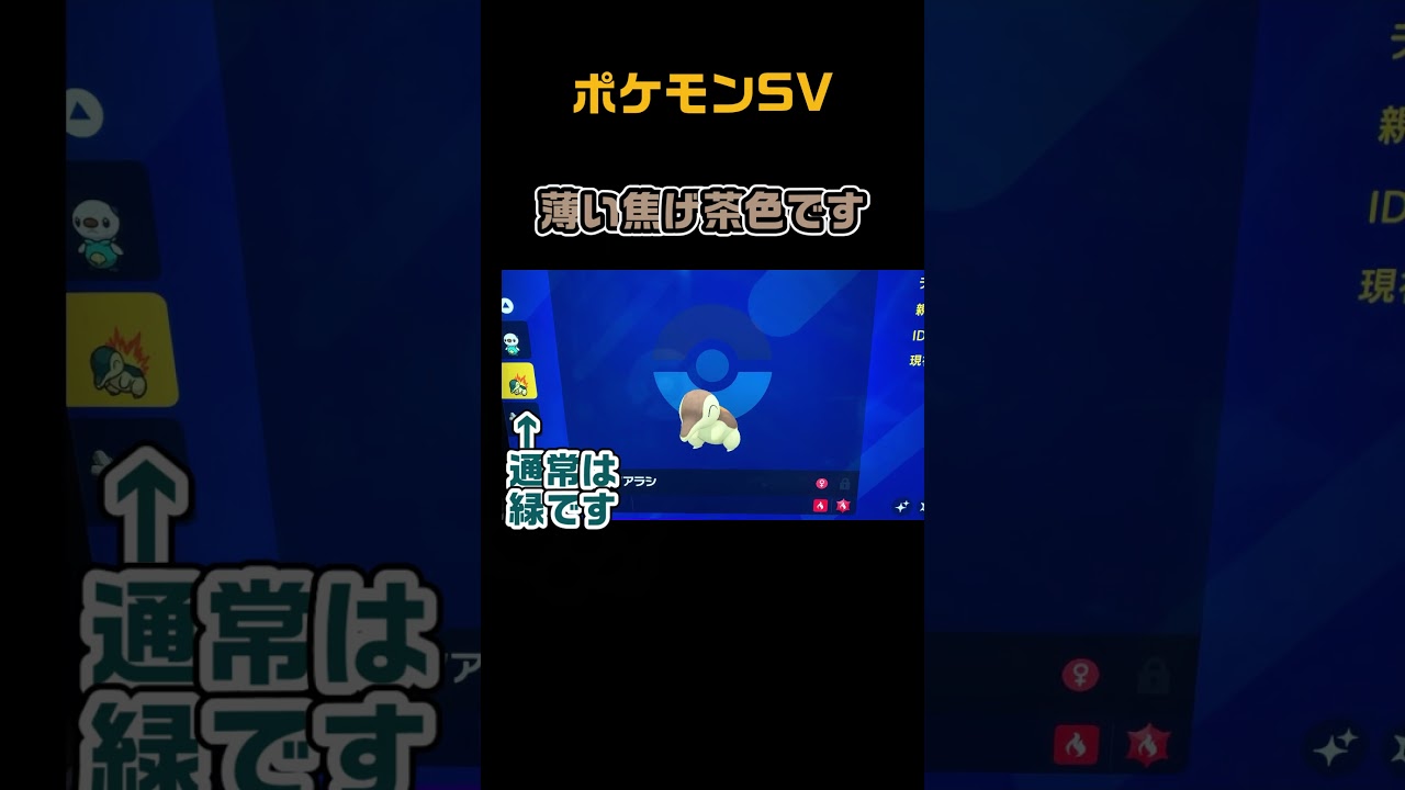 最強のバクフーンのタマゴから色違いヒノアラシ　#shorts　ポケモンSV
