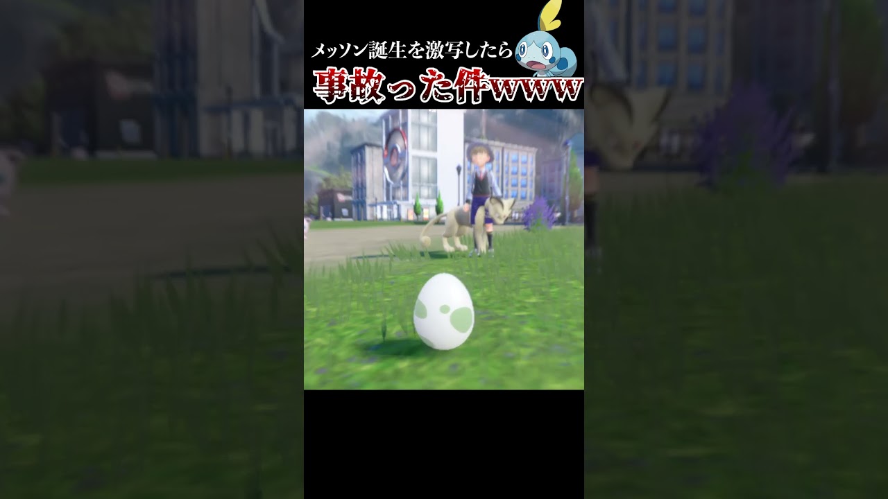 【放送事故】メッソン誕生の瞬間を激写したら事故った件www #shorts【ポケモンSV】
