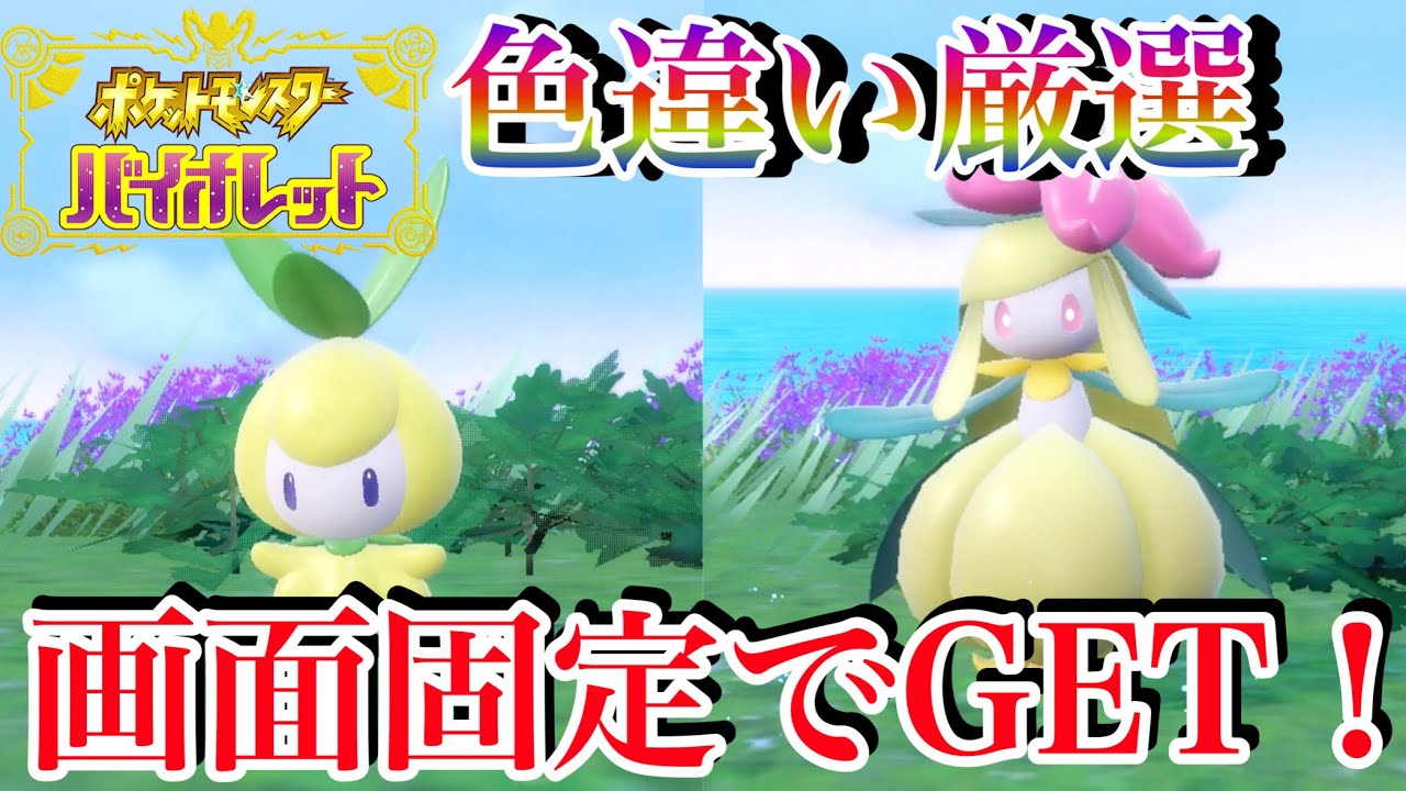 【ポケモンSV】超絶可愛いポケモン界の姫ドレディア登場！画面固定で色違いチュリネを簡単にGETする方法！