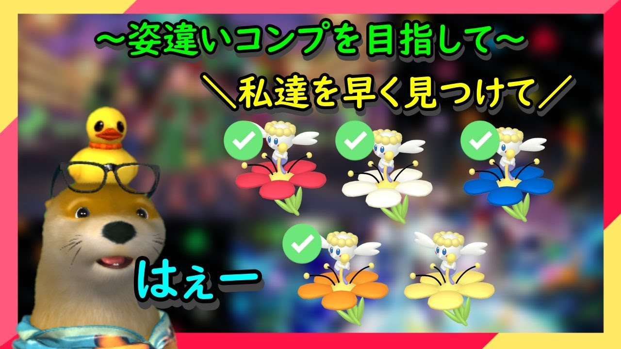 残りは黄色のみ 【5日目】フラベベの姿違い色違い孵化厳選 ～姿違いコンプを目指して～
