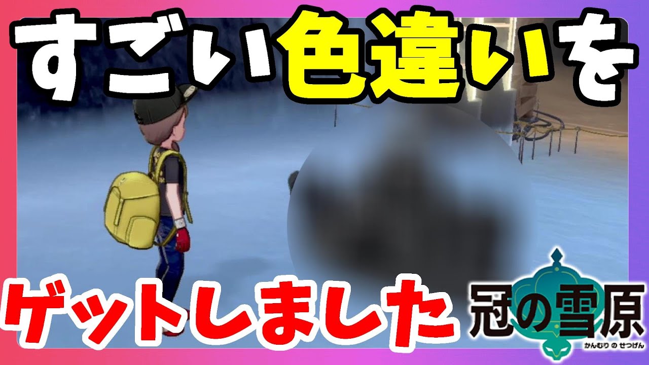 【ポケモンソードシールド】すごい色違いきたー！濃すぎるいろですな！？冠の雪原【エキスパンションパス】