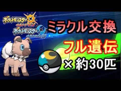 【ミラクル交換】イワンコと他何種類か流すよ！【ポケモンUSUM】