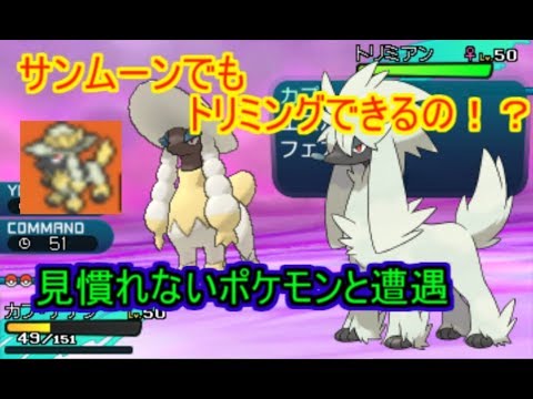 【ポケモンSM】最初見たとき新種のシルヴァディかと思いました【シングルレート】