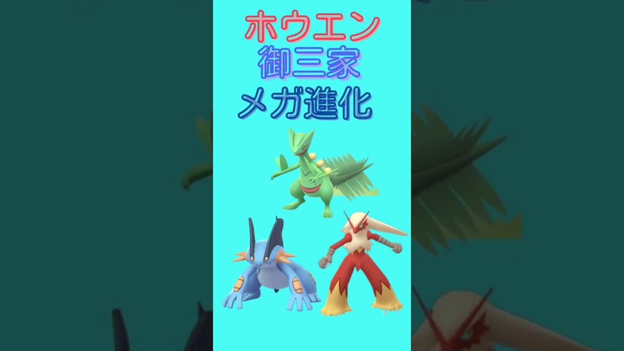 本日はホウエンメガレイド❗️
